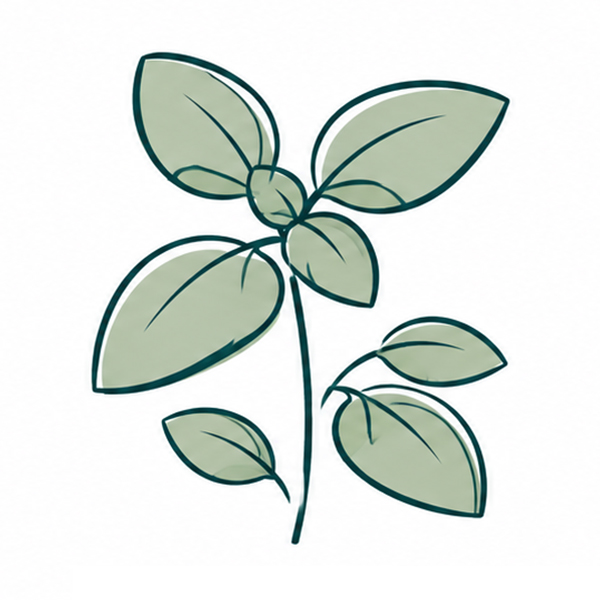 Sprout Bleistift mit Samen - Bild 9
