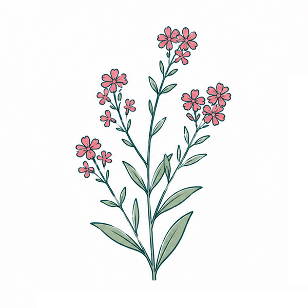 Blumen im Topf - Bild 10