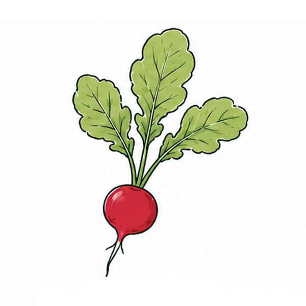 Samentütchen 65 x 95 mm Tomatenfaserpapier - Bild 17