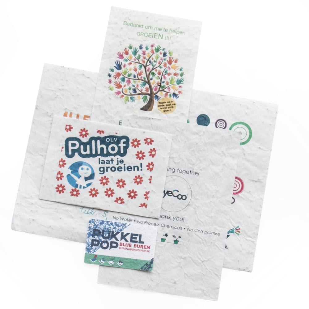 Samenpapier DIN A4 | 200 gr./m2 - Bild 2