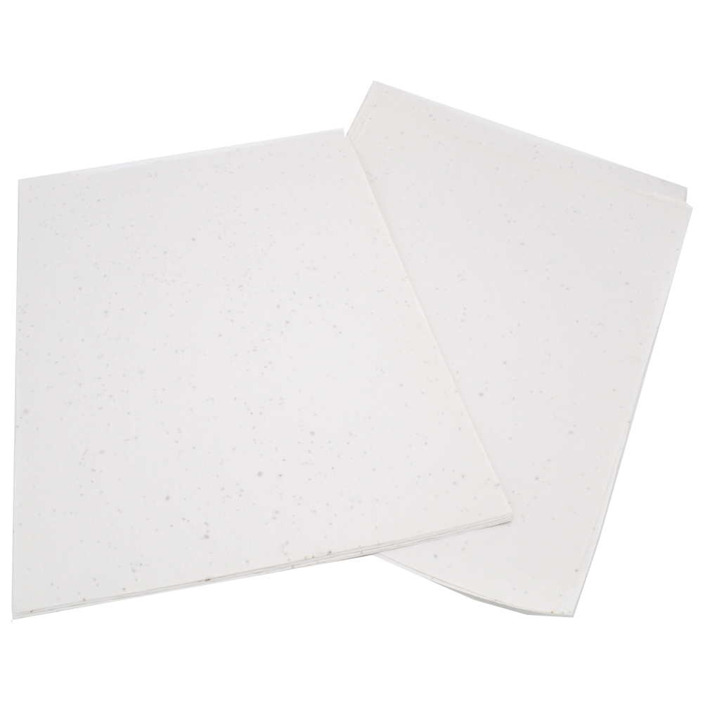 Unbedrucktes Samenpapier DIN A3 | 120 g/m²