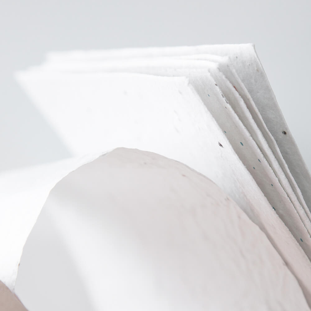 Samenpapier DIN Lang 200 gr./m2 - Bild 5