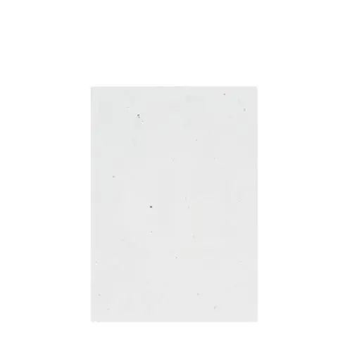 Briefkastengeschenk Blühender Weihnachtsgruß
