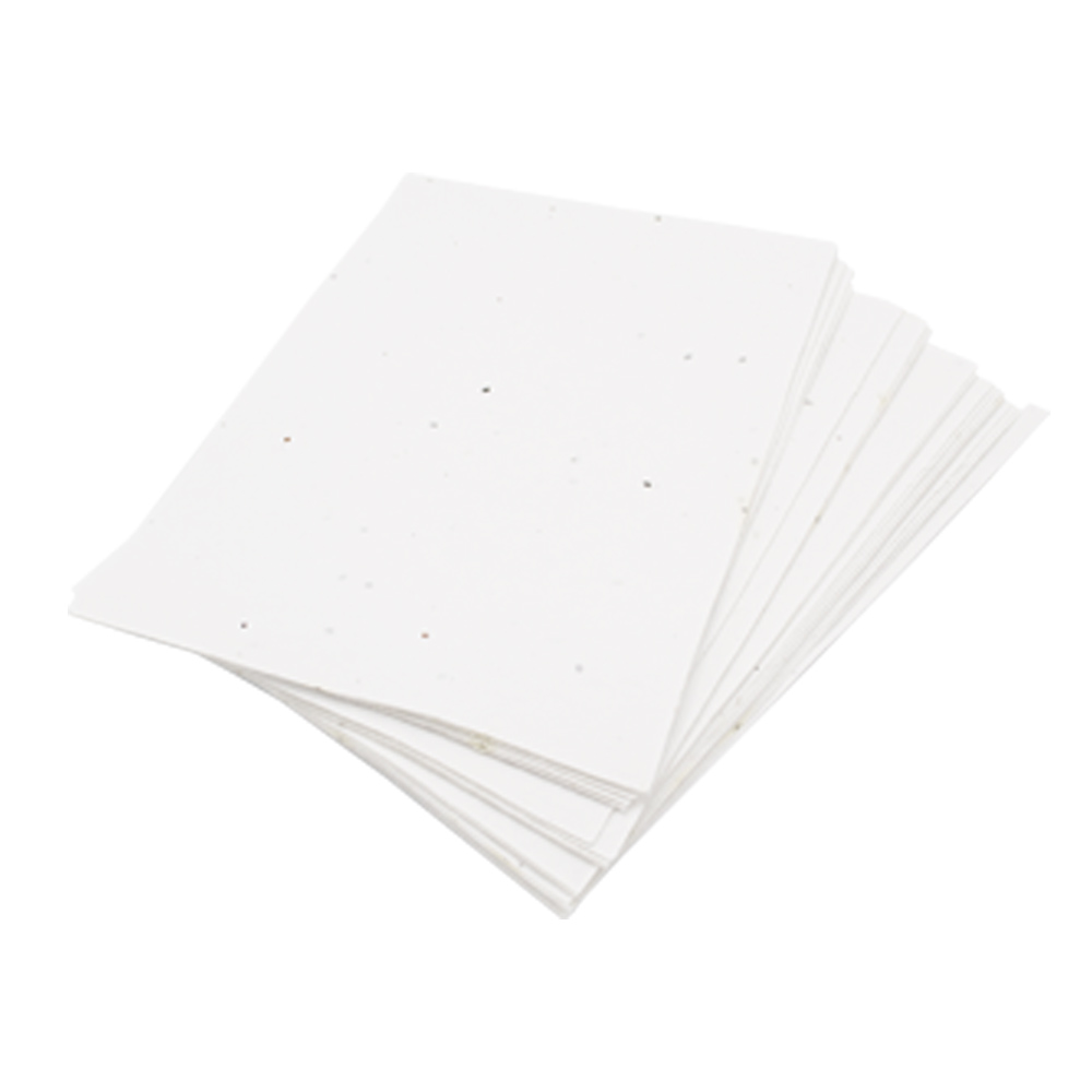 Unbedrucktes Samenpapier DIN A4 | 200 g/m²