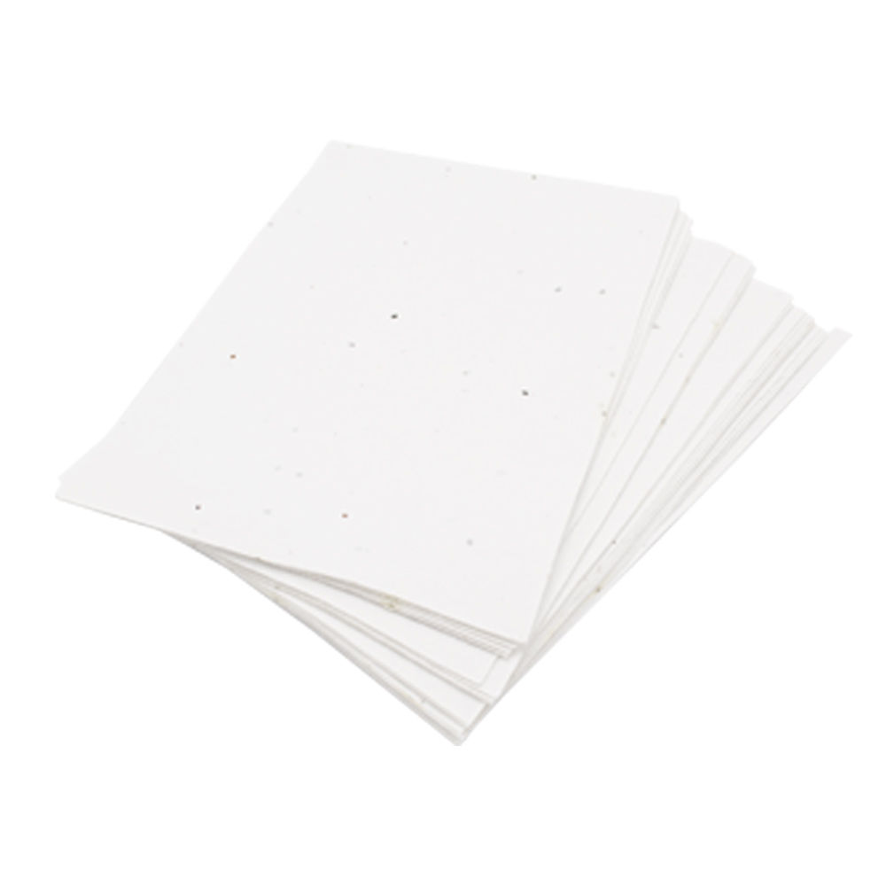 Unbedrucktes Samenpapier DIN A4 | 200 g/m²