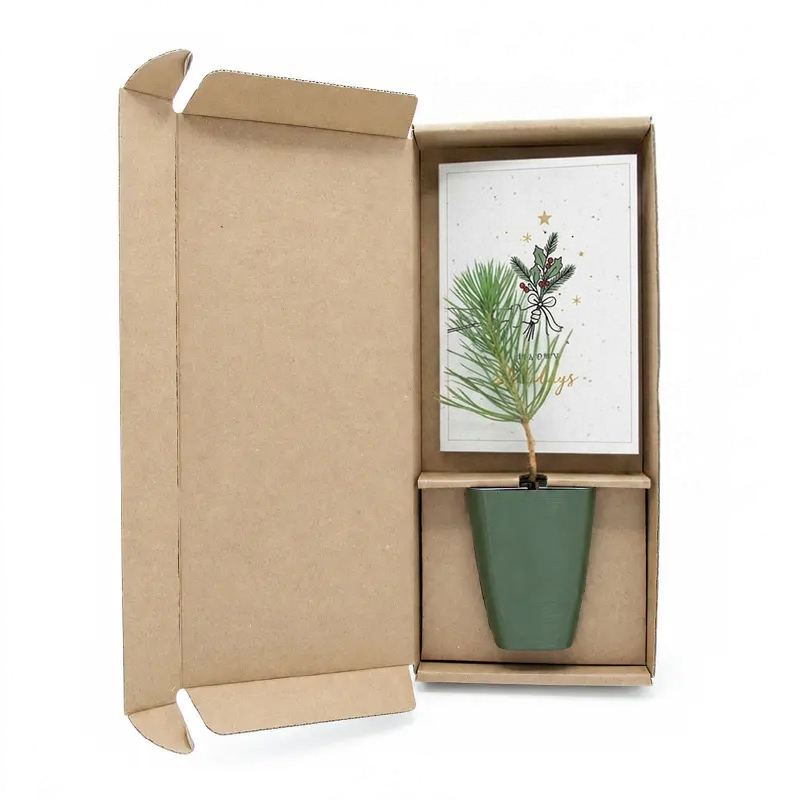 Baumgeschenk in Schachtel | Weihnachten