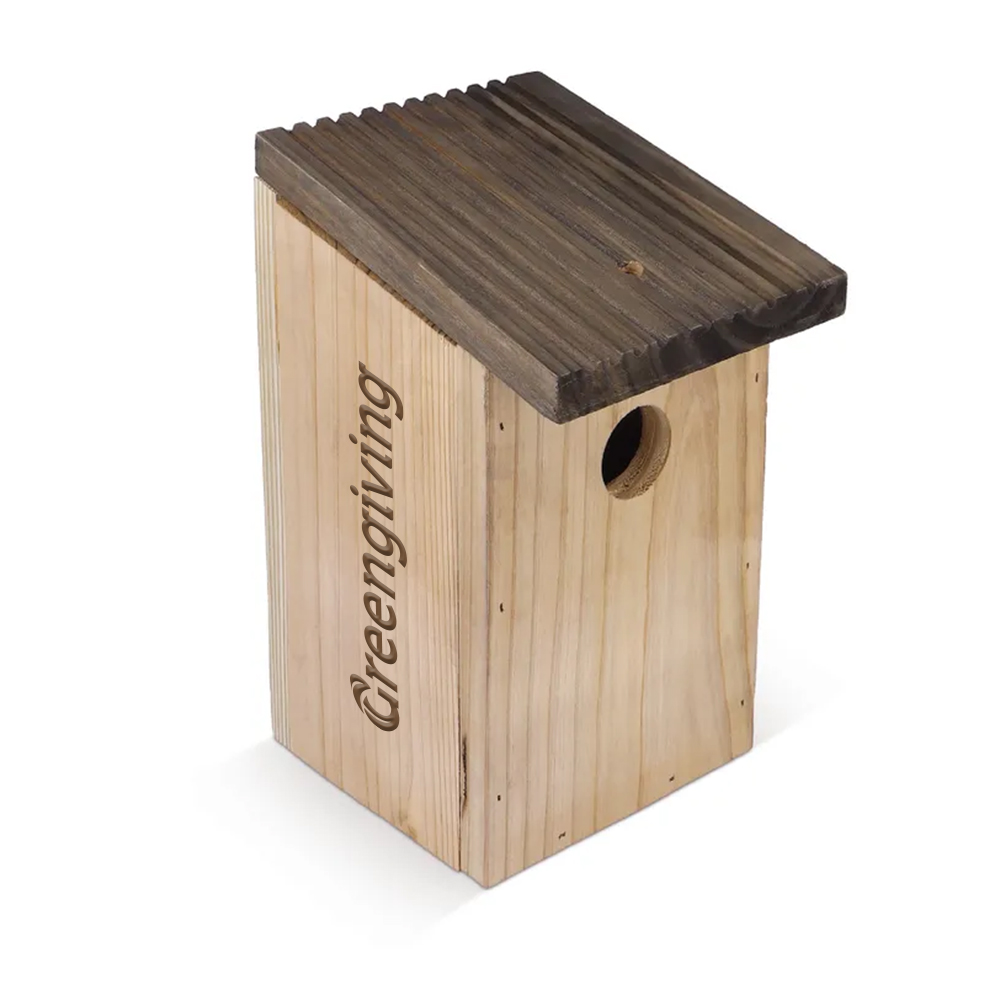 Vogelhäuschen mit Ostereiern - Bild 3