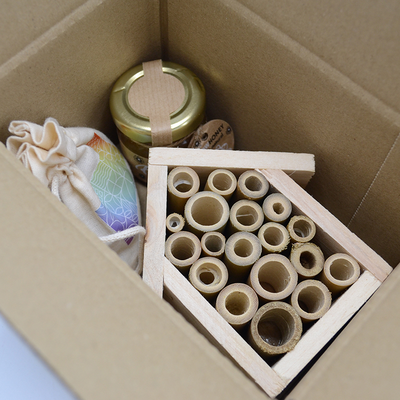 Mini-Bienenpaket - Bild 3
