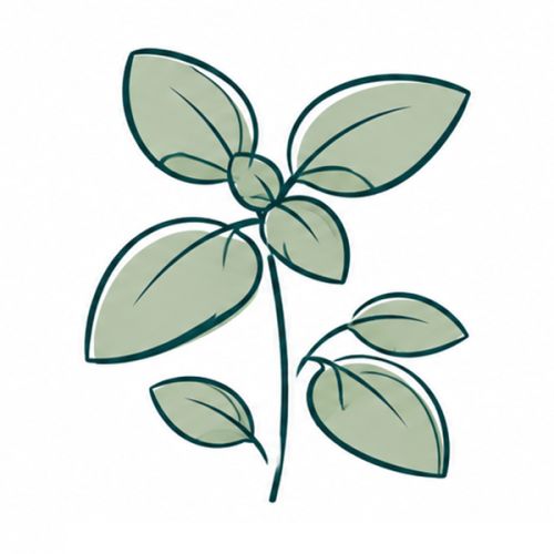 Sprout Bleistift mit Samen - Bild 9