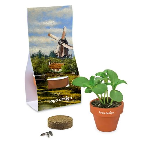 Mini Blumentopf mit Samen