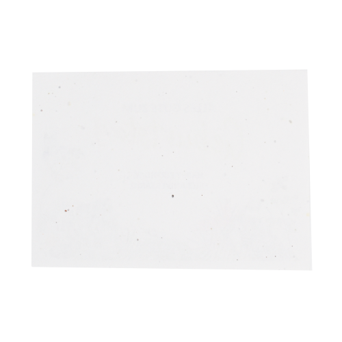 Unbedrucktes Samenpapier DIN A5 | 200 g/m² - Image 1