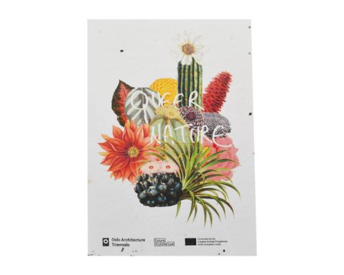 Samenpapier A6 – 200 gr./m2 - Bild 7