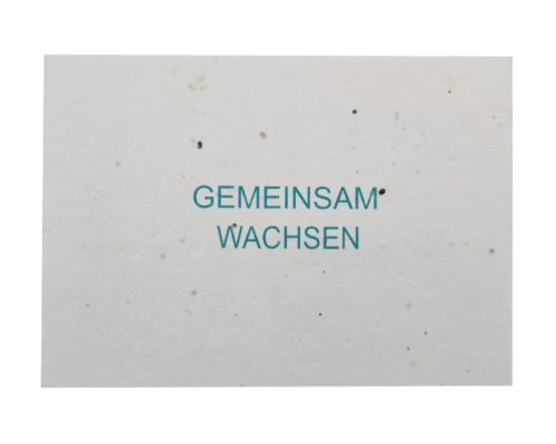 Samenpapier A6 – 200 gr./m2 - Bild 6