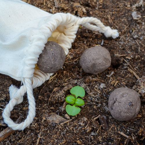 Eierkarton mit 6 Samenkugeln - Bild 4