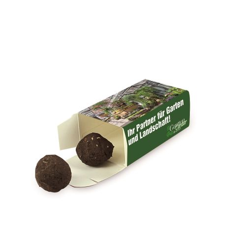 Samenkugeln in einer Schachtel - Image 1