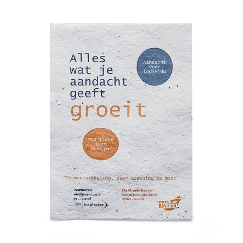 Samenpapier DIN A5 | 200 g/m² - Bild 5