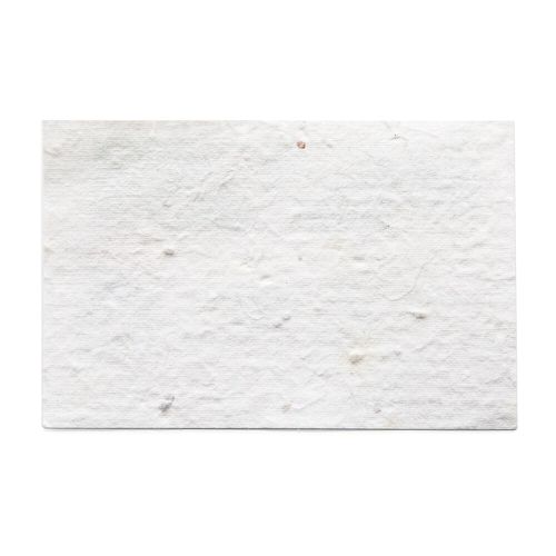 Visitenkarten aus Samenpapier - Image 5