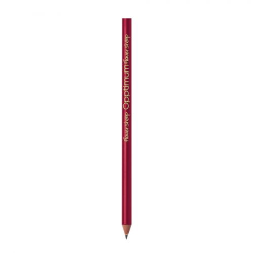BIC Ecolutions Classic - Bild 4