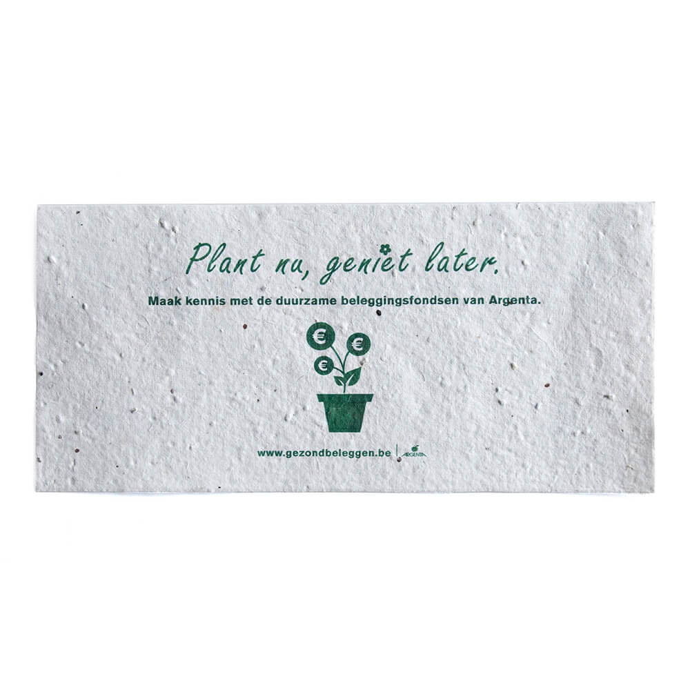 Samenpapier DIN Lang 200 gr./m2 - Bild 2